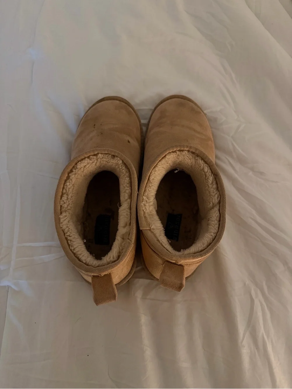 Women’s Windsor low ankle boots